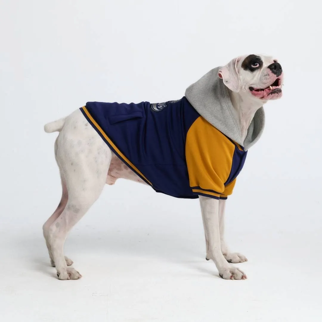 Dog Varsity Jackets