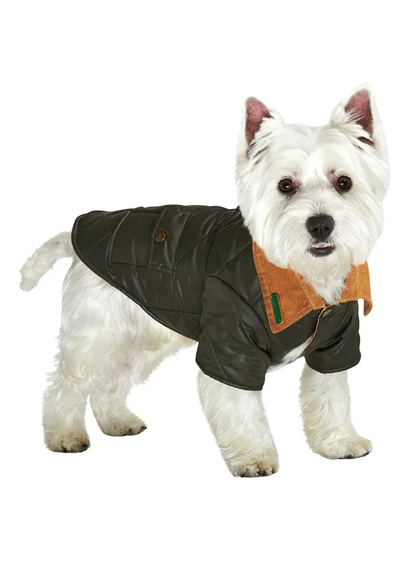 FOREST GREEN QUILTED TOWN & COUNTRY DOG COAT