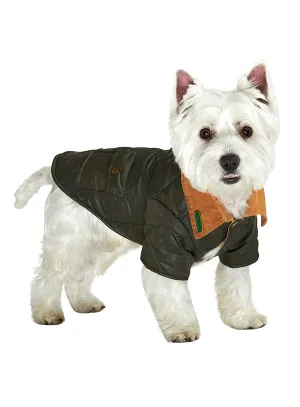 FOREST GREEN QUILTED TOWN & COUNTRY DOG COAT
