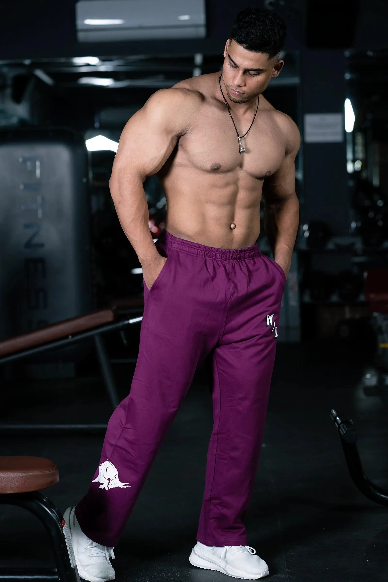 JOURNEY WILDES EVERYDAY ESSENTIAL SWEAT PANTS (MYSTIC PLUM)