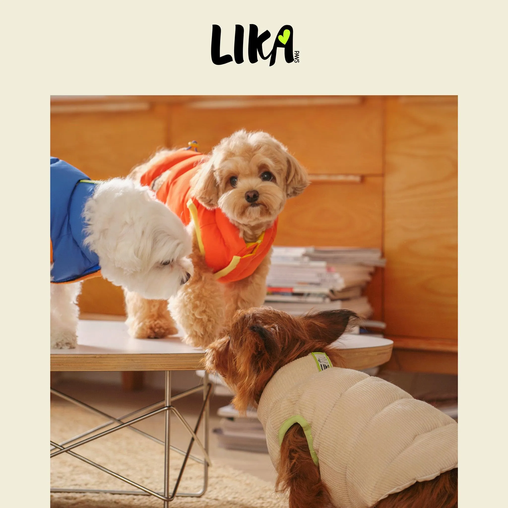 Reversible Padded Jacket - Marmalade
