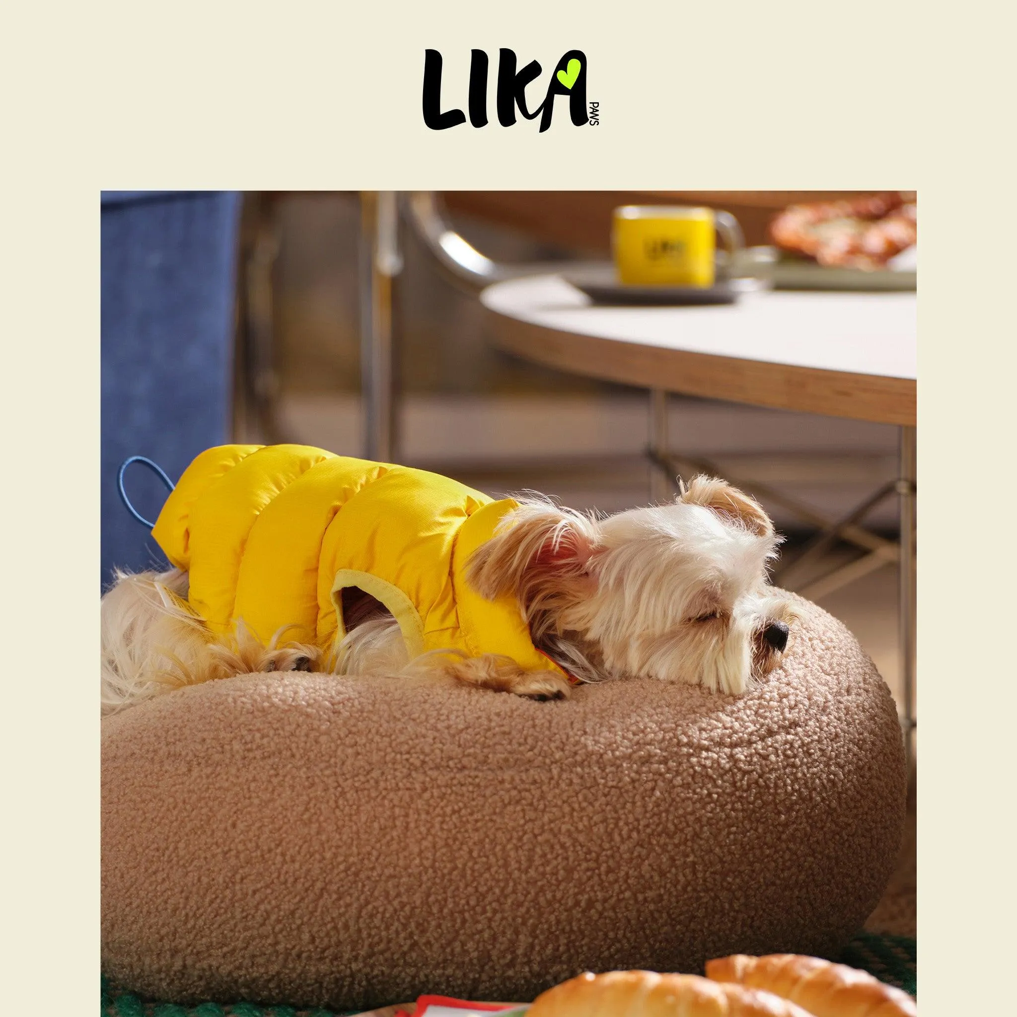 Reversible Padded Jacket - Marmalade